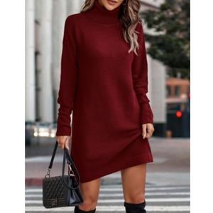 Cozy turtleneck knit sweater dress